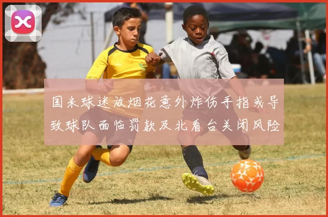 国米球迷放烟花意外炸伤手指或导致球队面临罚款及北看台关闭风险